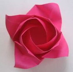 折り紙のバラ達